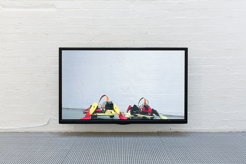 dean kenning evolutionary love
